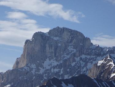 courant d'air sur un matelas de crocus 