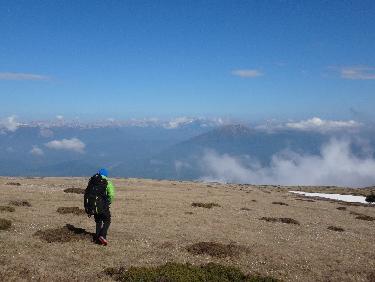 courant d'air sur un matelas de crocus 