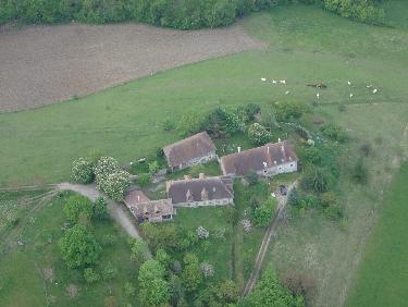 courant d'air sur un matelas de crocus 