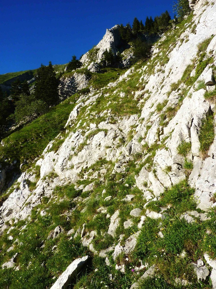 Courte dalle (3 m) et gradins pour rejoindre le bas du Grand Couloir