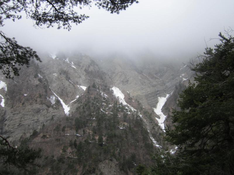 courte levée de brouillard...