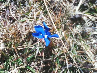 crête de vallon -pion depuis clot bouffier