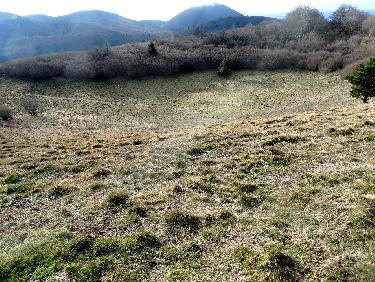 CratÃ¨re du Puy des Goules
