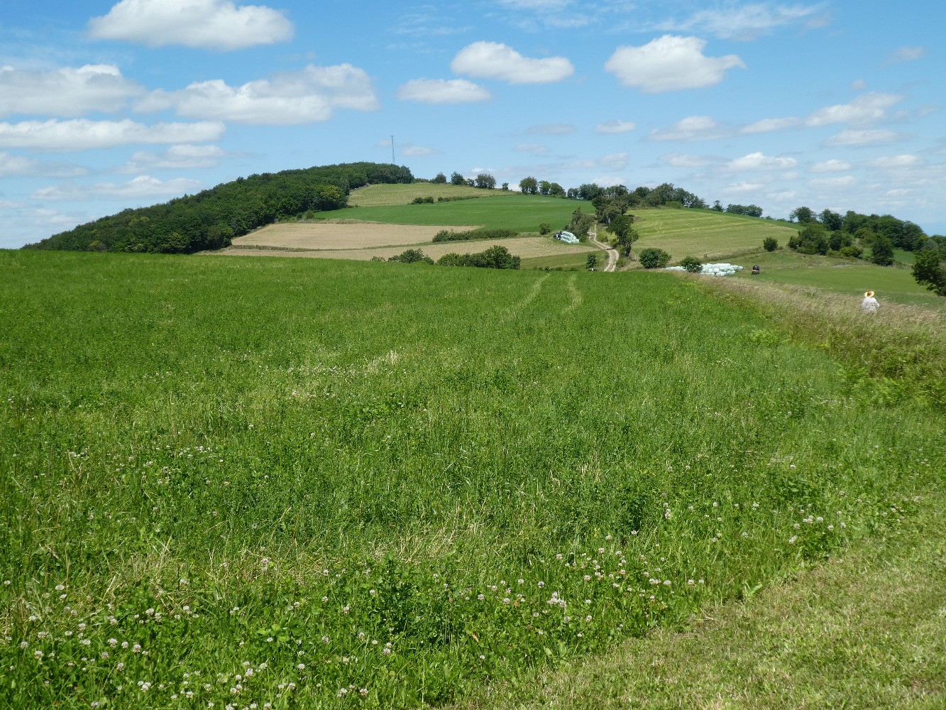 CrÃªt de Barmont en vue