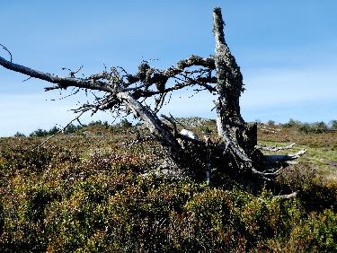 CrÃªt de la Perdrix
