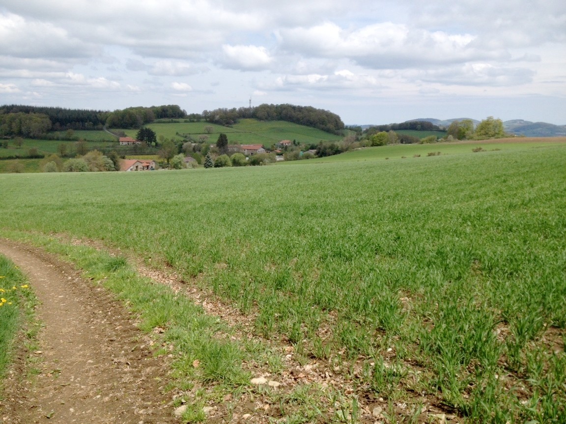 CrÃªt des Loives (pylÃ´ne)