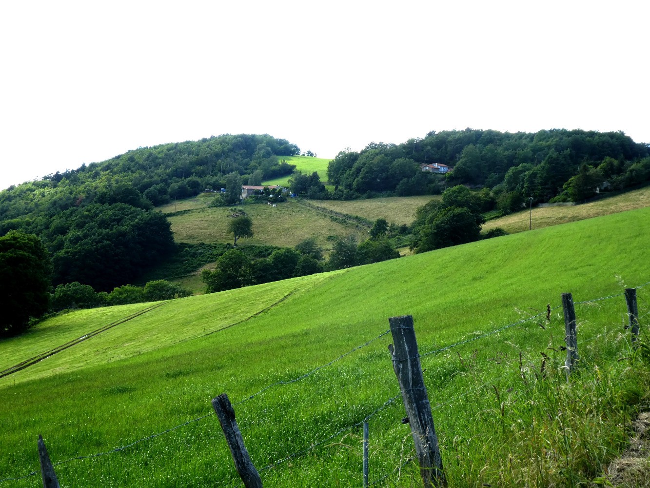 CrÃªt et clairiÃ¨re des Fayes (au fond) dans le rÃ©tro
