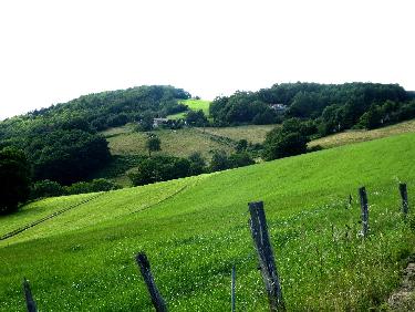 CrÃªt et clairiÃ¨re des Fayes (au fond) dans le rÃ©tro