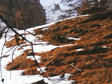 crÃªte de chabreyret- prÃ¨s de la cabane st -clÃ©ment