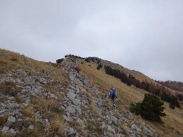 CrÃªte de la Clape