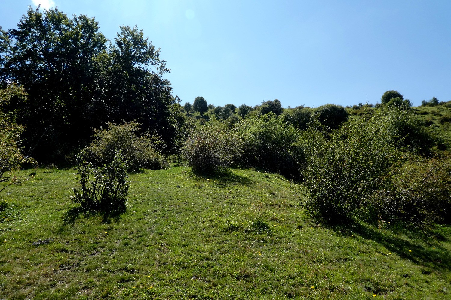 DÃ©but de la remontÃ©e sur la crÃªte