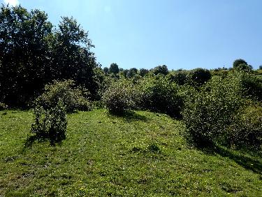 DÃ©but de la remontÃ©e sur la crÃªte