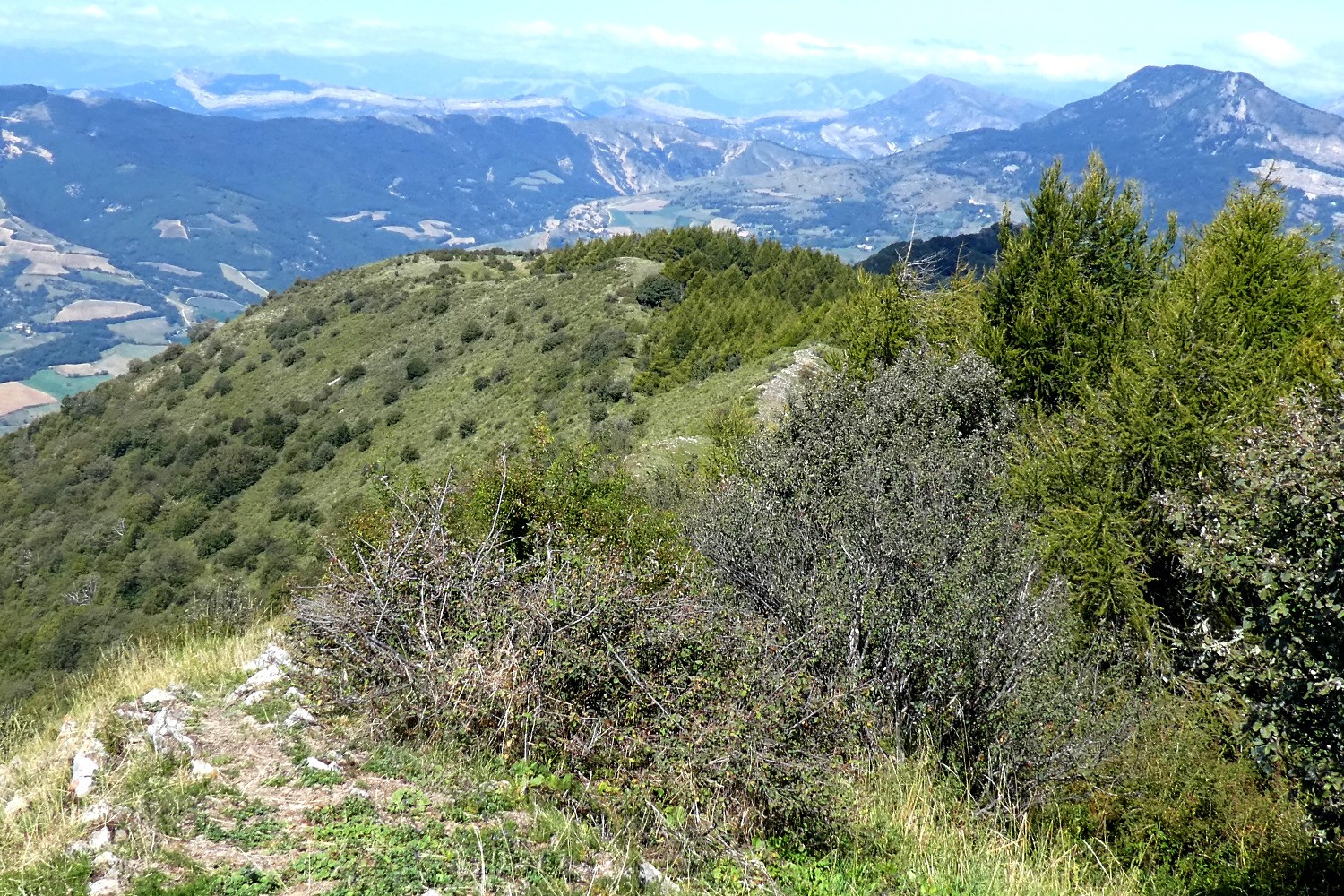 CrÃªte NW