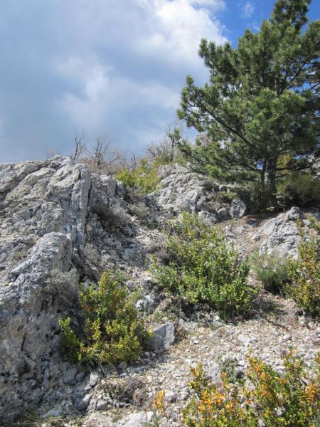 crête des Ruelles