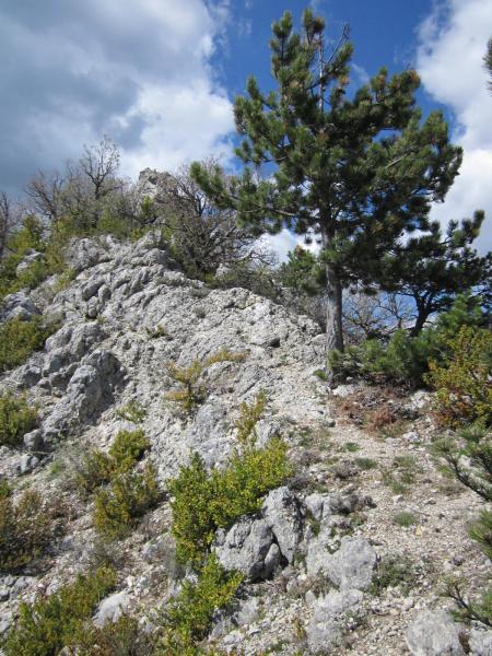 crête des Ruelles
