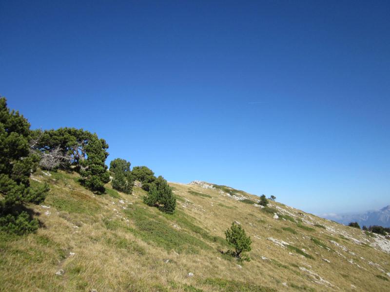 crête sommitale