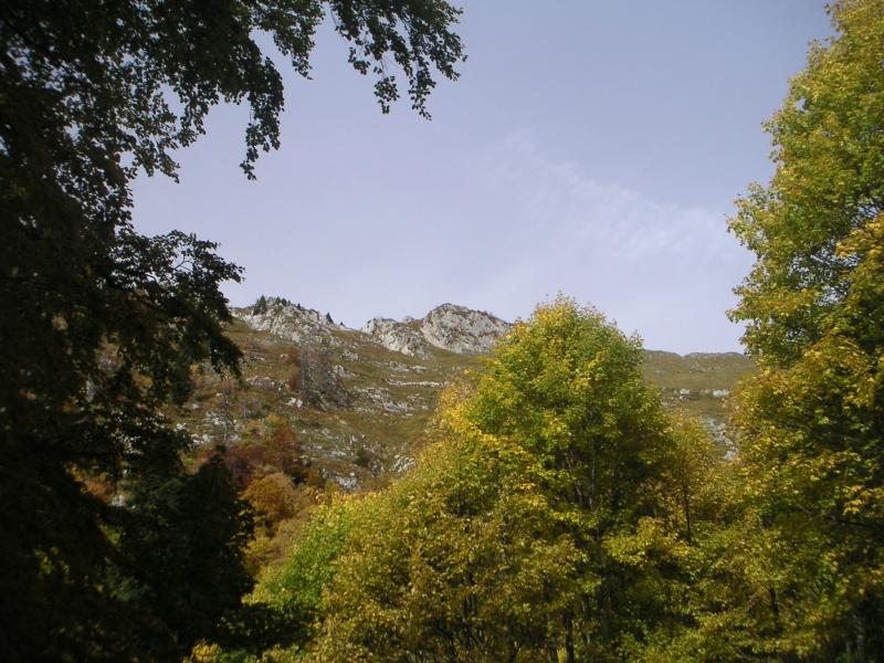 crête vue du dessous