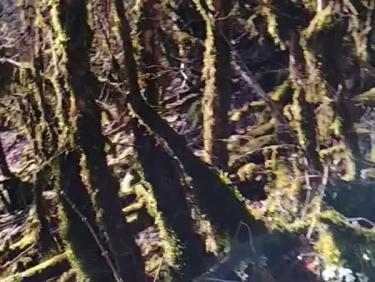 Montée au déco d'Innimond