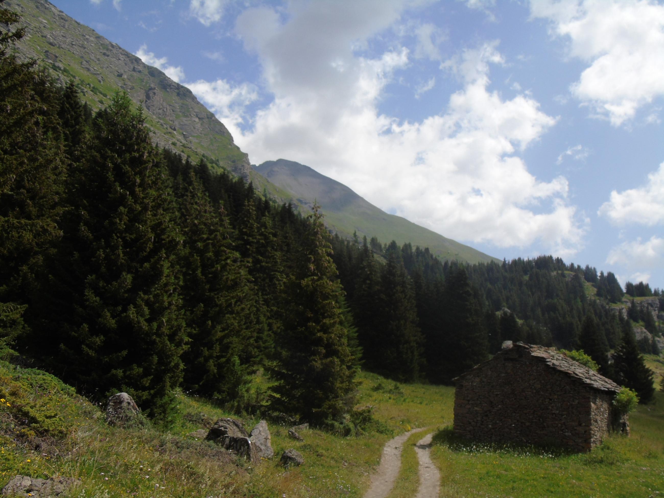 Le Cuchet, descente en VTT par le chemin du  bois de Pramania et des champs.