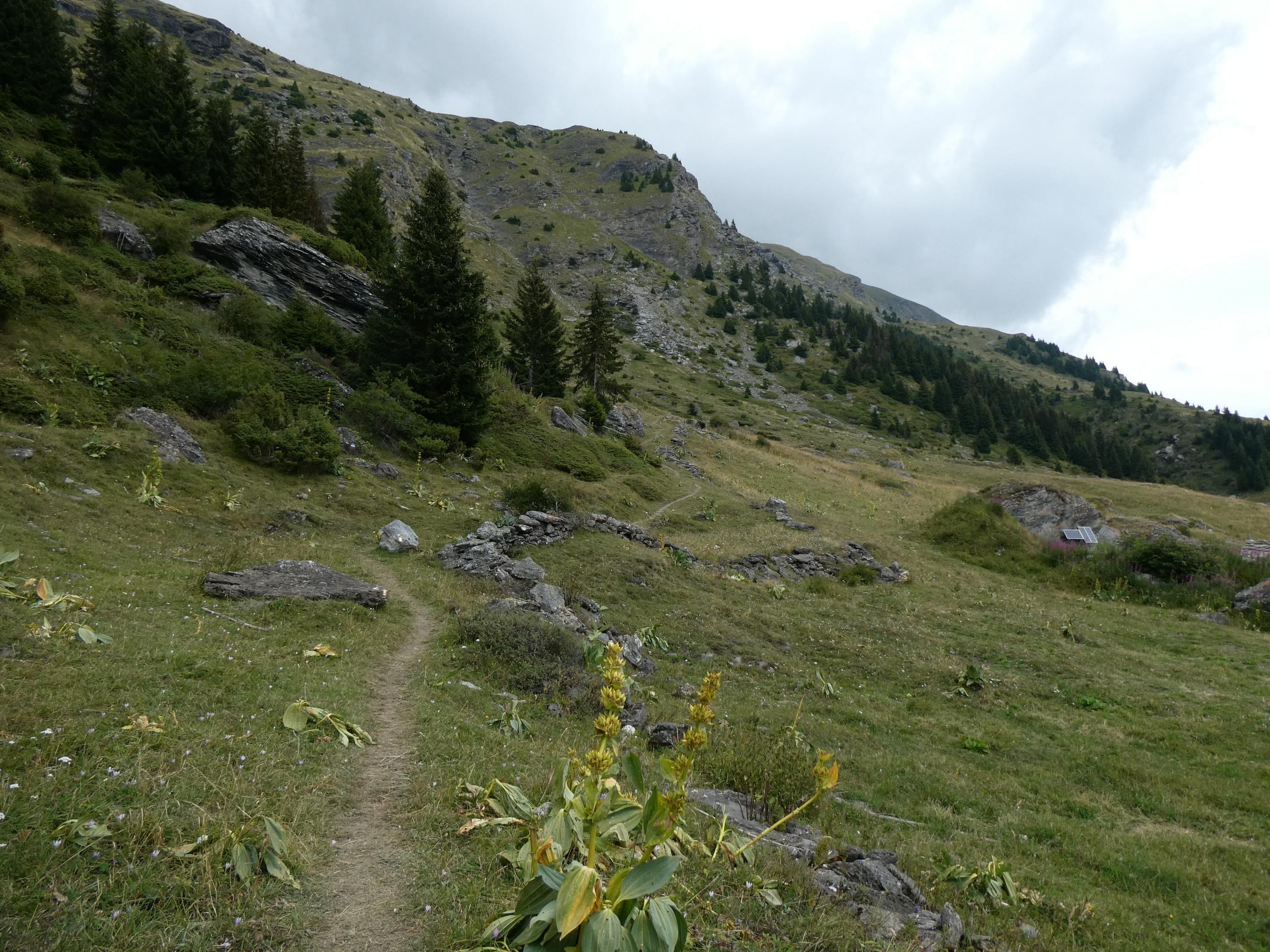 Le Cuchet, descente en VTT par le chemin du  bois de Pramania et des champs.