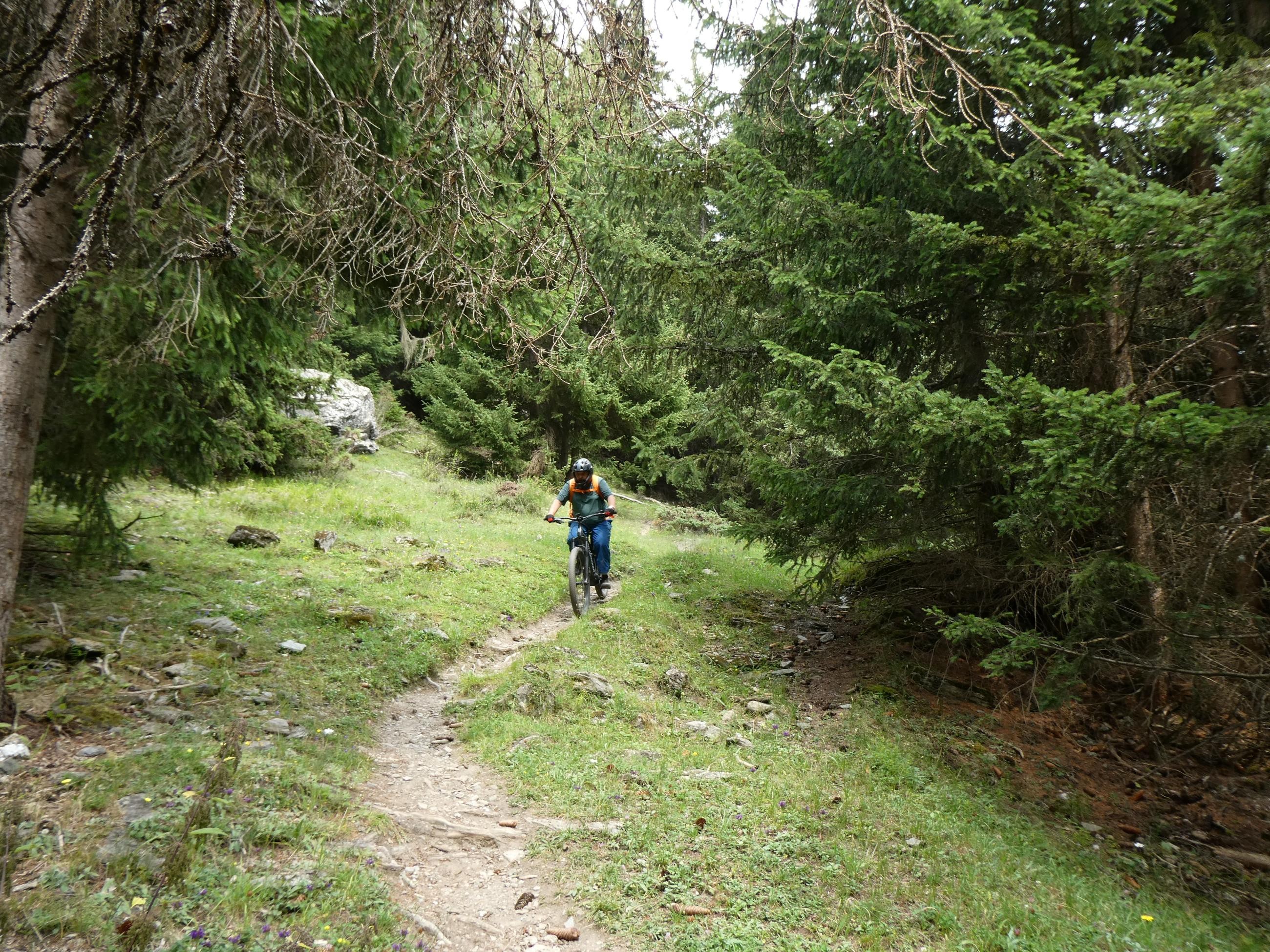 Le Cuchet, descente en VTT par le chemin du  bois de Pramania et des champs.