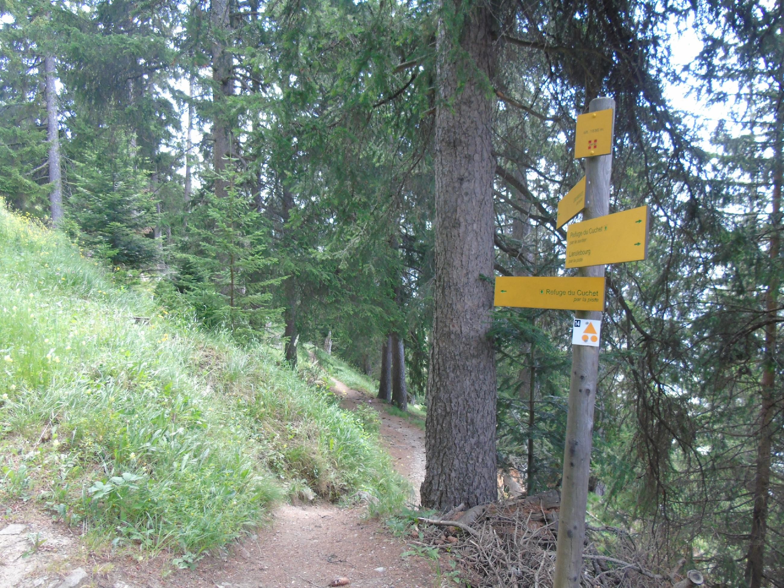 Le Cuchet, descente en VTT par le chemin du  bois de Pramania et des champs.