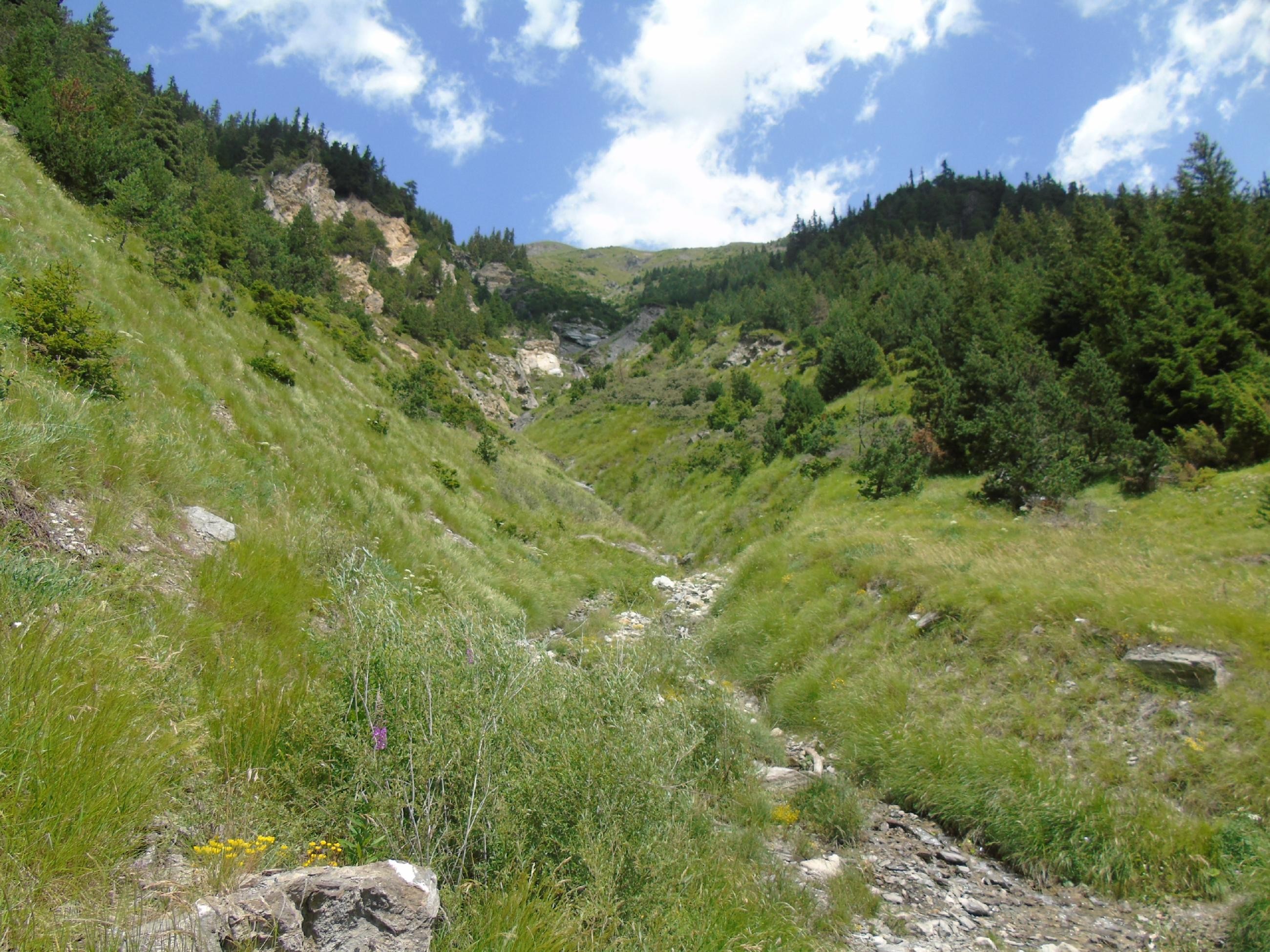 Le Cuchet, descente en VTT par le chemin du  bois de Pramania et des champs.