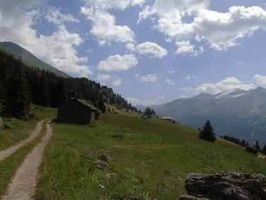 Le Cuchet, descente en VTT par le chemin du  bois de Pramania et des champs.