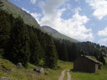 Le Cuchet, descente en VTT par le chemin du  bois de Pramania et des champs.