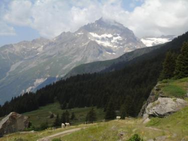 Le Cuchet, descente en VTT par le chemin du  bois de Pramania et des champs.