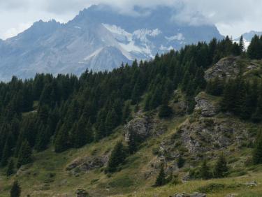 Le Cuchet, descente en VTT par le chemin du  bois de Pramania et des champs.