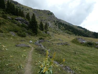 Le Cuchet, descente en VTT par le chemin du  bois de Pramania et des champs.
