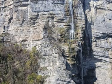 Cueillette de Respounchous 