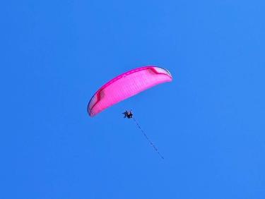 Cueillette de Respounchous 