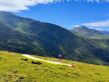 Cueillette miraculeuse 