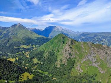 Cueillette miraculeuse 