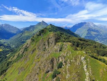 Cueillette miraculeuse 