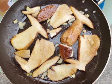 Cueillette miraculeuse 