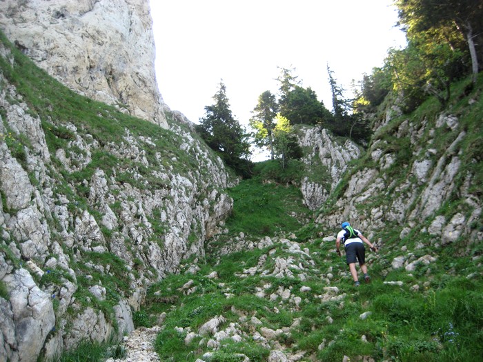 Dans la Cheminée