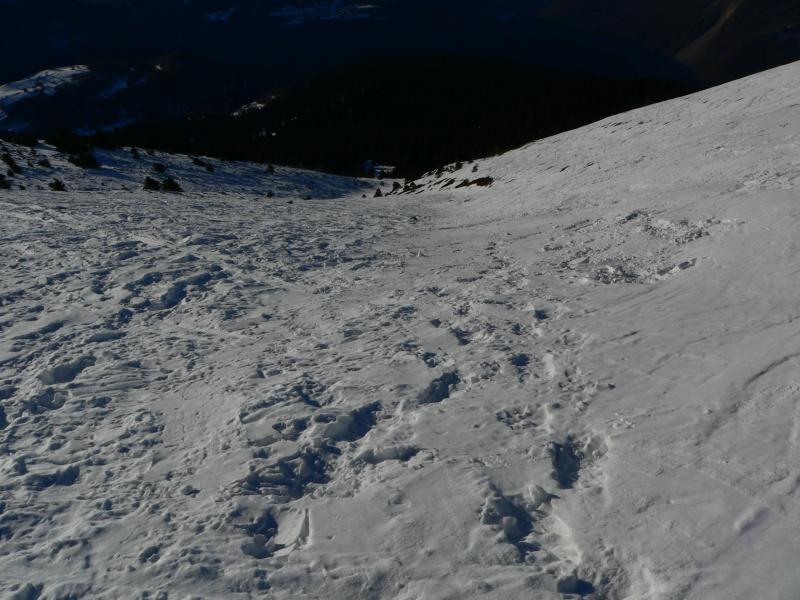 Dans la Côte des Sallières
