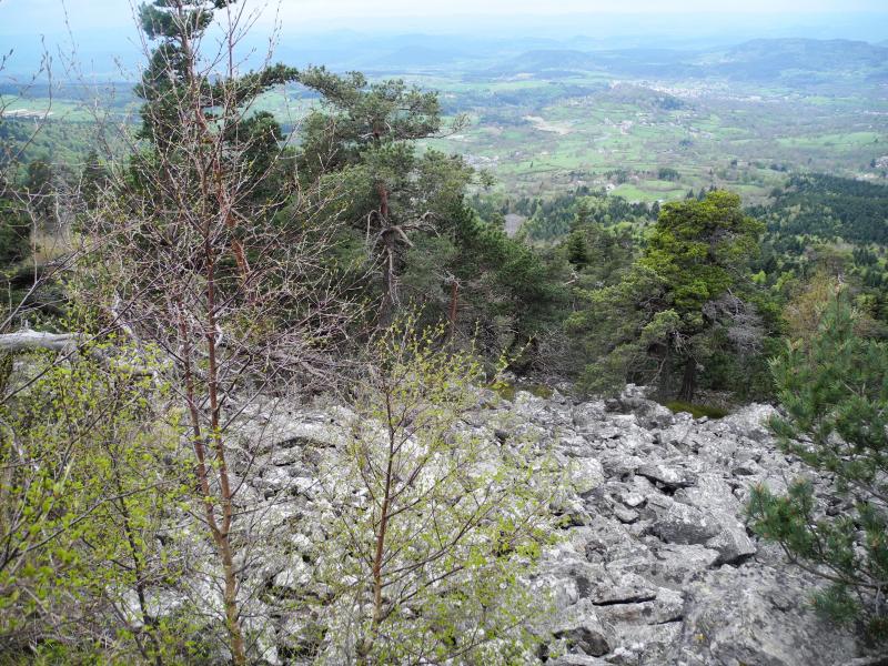 A la montée