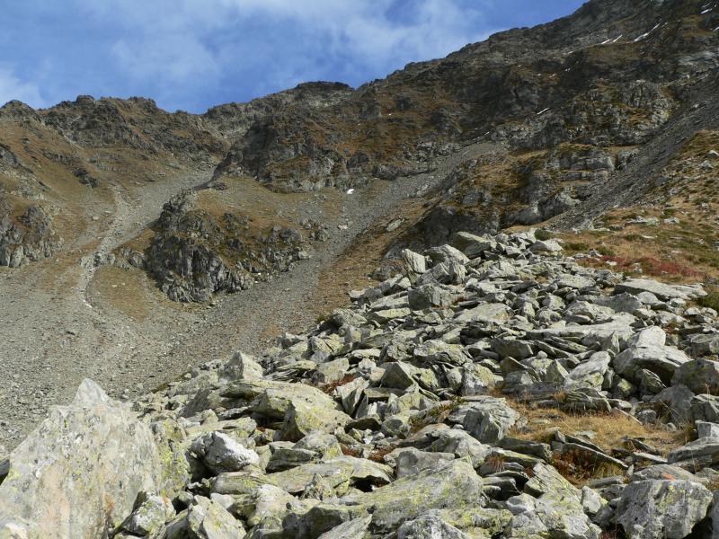 Dans la descente