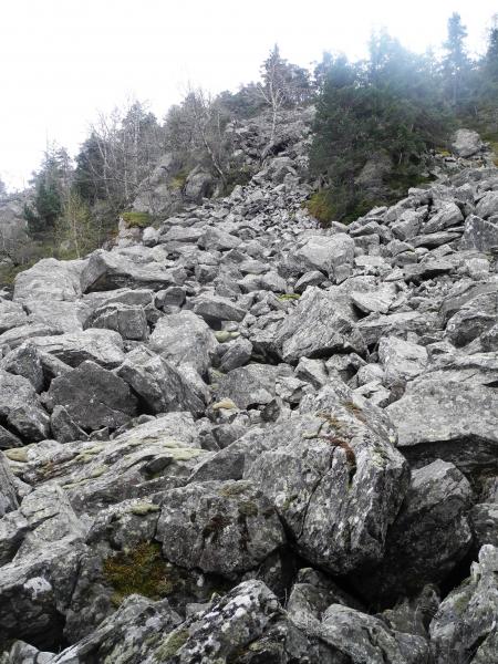 Dans la descente