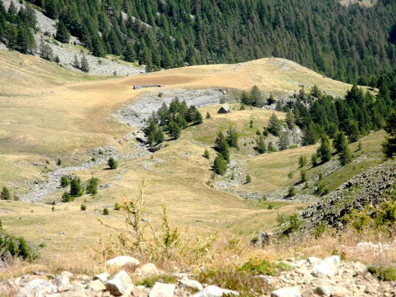 Le vallon de Joyeux (détail)