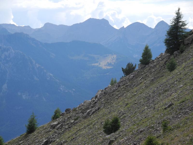 Dans la descente du Col de l'âne