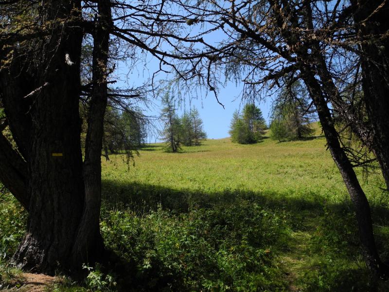 Dans la pente sous le Col de l'Autapie