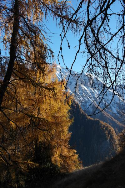 Dans le Perron roux