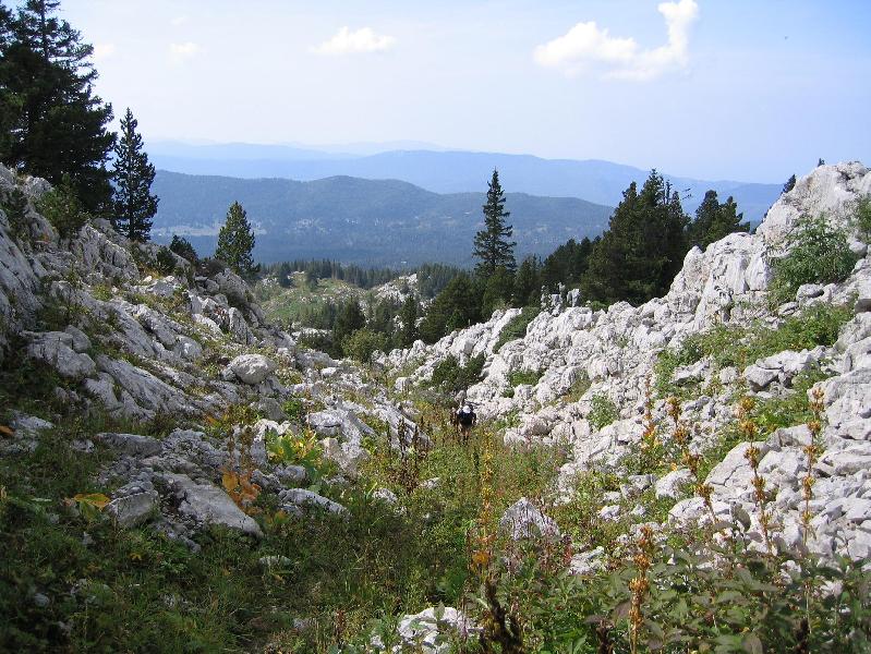 Dans le haut du talweg