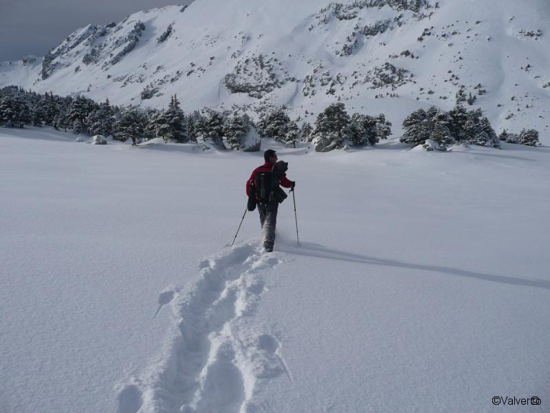 Dans le vallon
