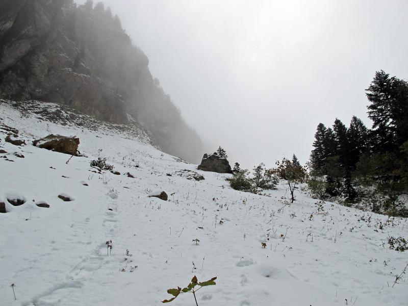 Dans le vallon de Léchaud (Chartreuse)